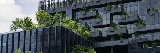 Green building with vertical garden.